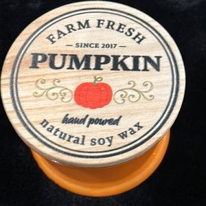 Brand new Farm fresh Pumpkin natural soy wax